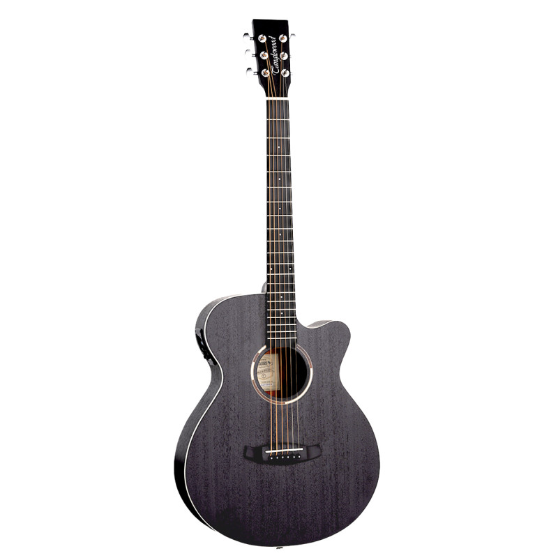TANGLEWOOD TWBB SF CE Акустична гітара