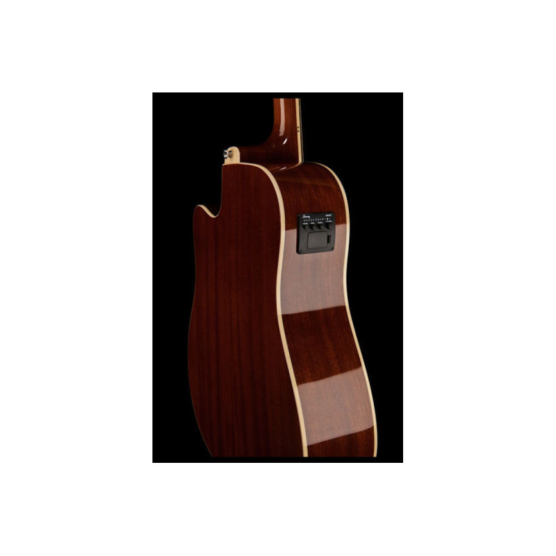 IBANEZ PF15ECE NT Гітара електроакустична