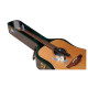 D'ADDARIO PW-HPK-01 TWO-WAY HUMIDIFICATION SYSTEM