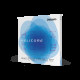 D`ADDARIO HELICORE CELLO STRING SET 4/4 Scale Heavy Tension