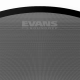 EVANS 20