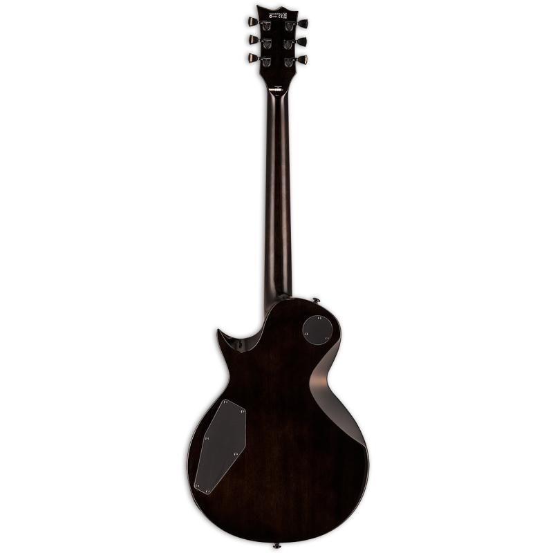 LTD EC-1000BP (Black Natural Burst)