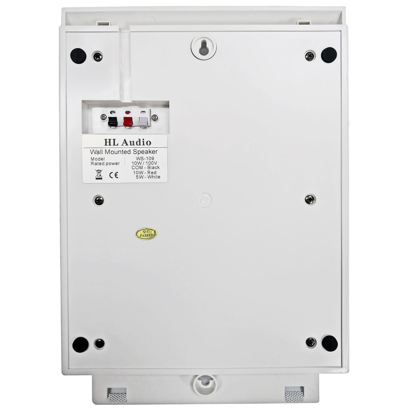 HL AUDIO WS109 Акустична система трансляційна