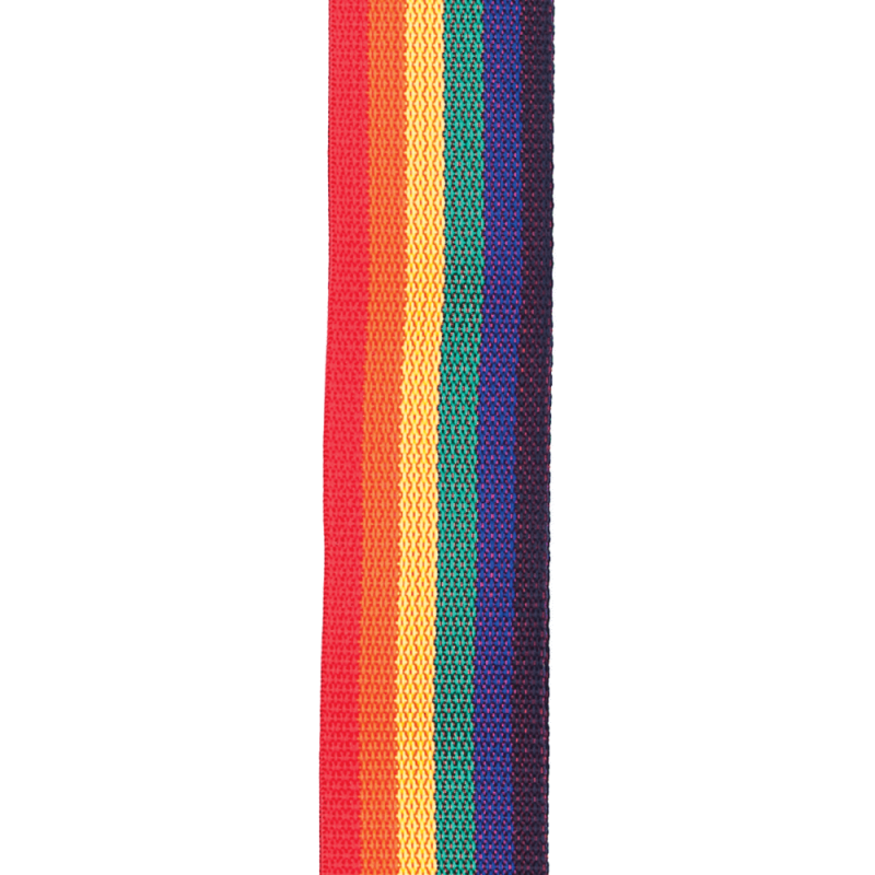 D`ADDARIO PWS111 POLYPRO GUITAR STRAP (RAINBOW)