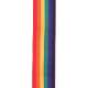 D`ADDARIO PWS111 POLYPRO GUITAR STRAP (RAINBOW)