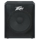 PEAVEY PV118