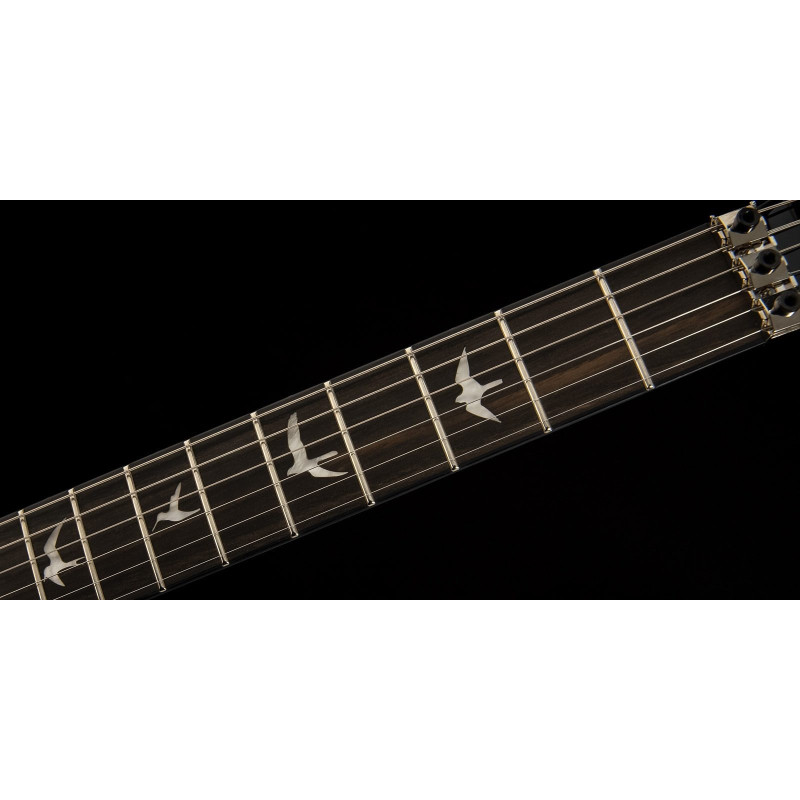 PRS SE Custom 24 Floyd (Charcoal Burst) 2023
