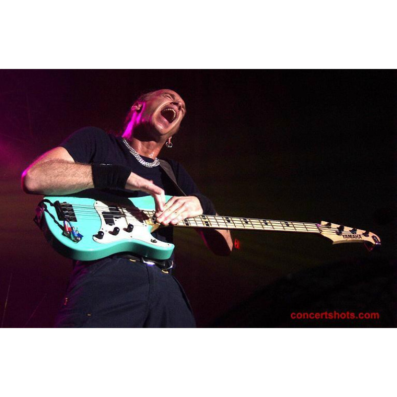 DIMARZIO WILL POWER MIDDLE (Black)