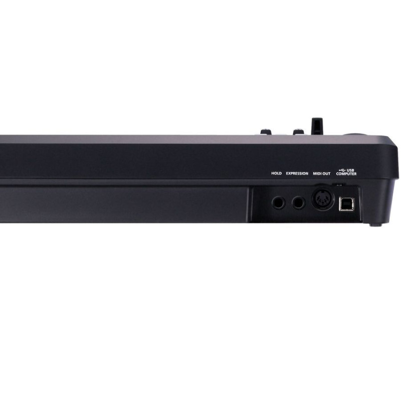 ROLAND A-49 Midi-клавиатура Чорна