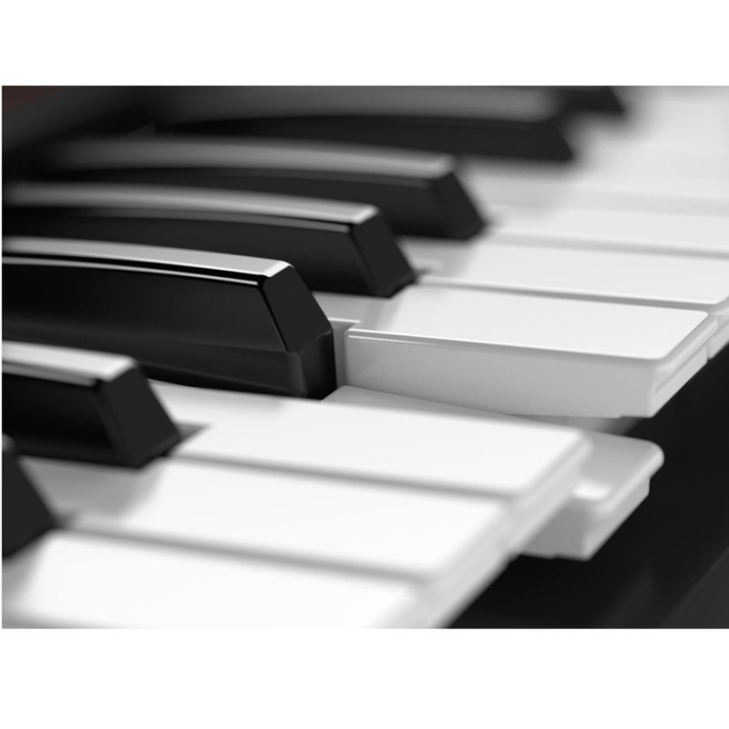 ROLAND Juno-DS61 Синтезатор