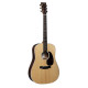 MARTIN 11D13E Акустическая гитара