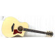 TAYLOR GUITARS 214ce-K DLX Гітара електроакустична