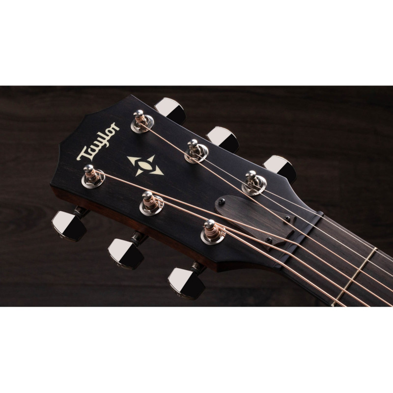 TAYLOR GUITARS 517e BUILDER'S EDITION Гітара електроакустична