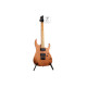 IBANEZ RG421 MOL Електрогітара