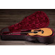 Гітара електроакустична TAYLOR GUITARS 214ce PLUS