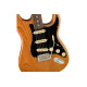 FENDER AMERICAN PRO II STRATOCASTER ROASTER PINE NATURAL Электрогитара