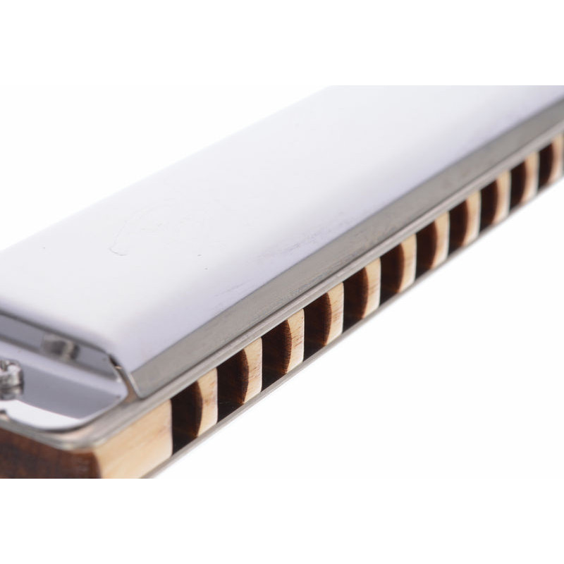 SEYDEL SOLIST PRO 12 Steel C-major Губна гармоніка