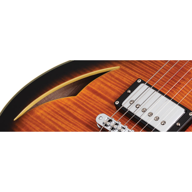 SCHECTER SOLO CUSTOM E/A DVS Электрогитара