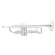 Труба Roy Benson TR-403S Bb-Trumpet