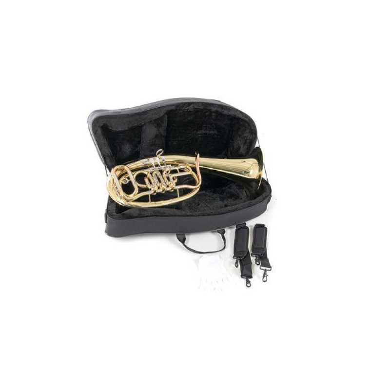 Тенор Roy Benson TH-201 Bb-Tenorhorn