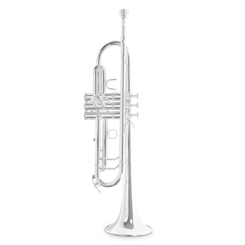 Труба Roy Benson TR-403S Bb-Trumpet