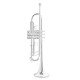 Труба Roy Benson TR-403S Bb-Trumpet