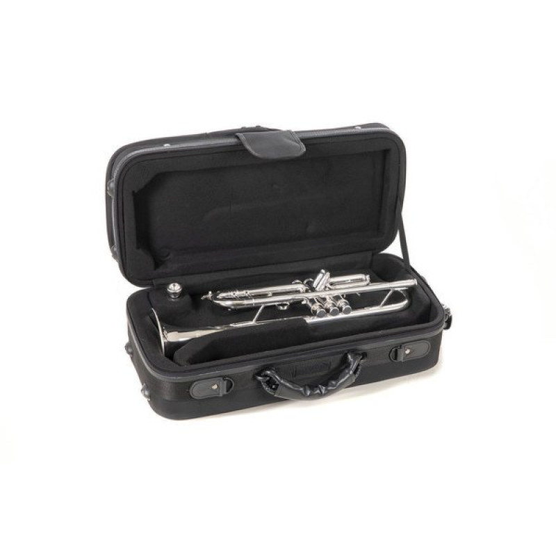 Труба Roy Benson TR-403S Bb-Trumpet