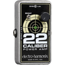 22 Caliber