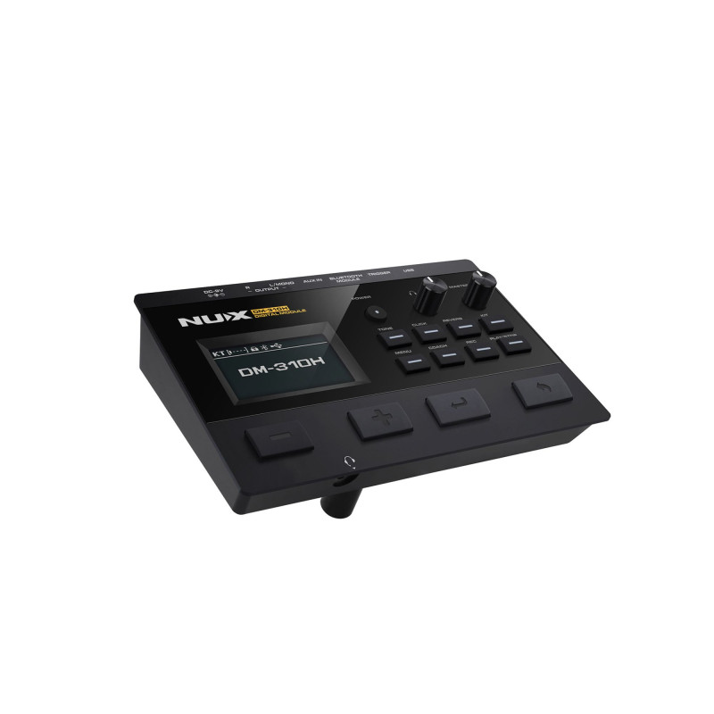 NUX DM-310H