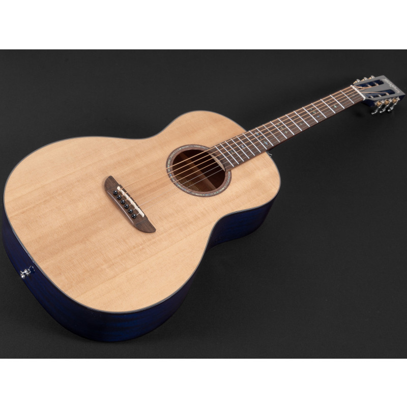 WASHBURN WP33SRS Акустическая гитара