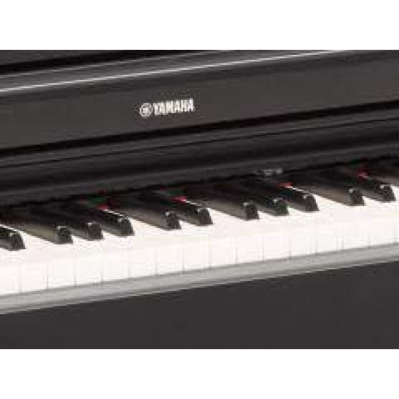 YAMAHA YDP-103B Цифровое пианино