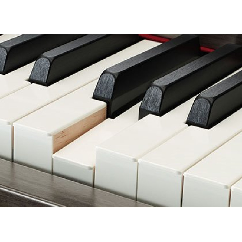 YAMAHA CVP-805B Цифровое пианино