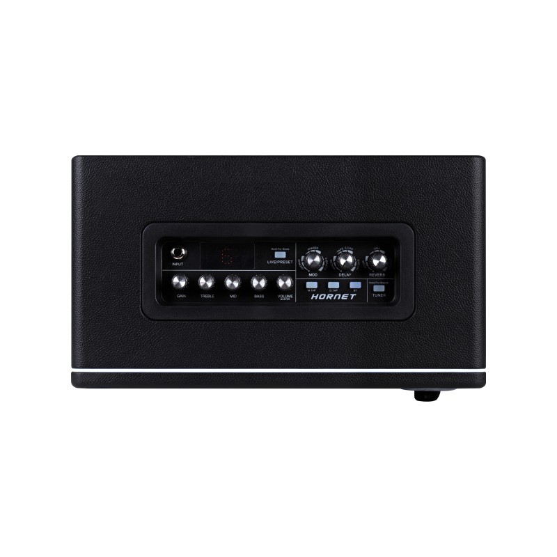 MOOER Hornet 30 Black Комбоусилитель