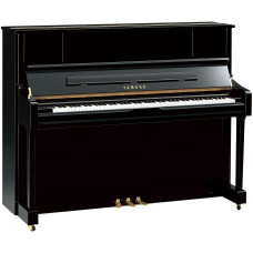 U1J PE