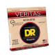 DR STRINGS VERITAS Coated Core Acoustic Guitar Strings - Bluegrass (12-56) Струни для акустичної гітари