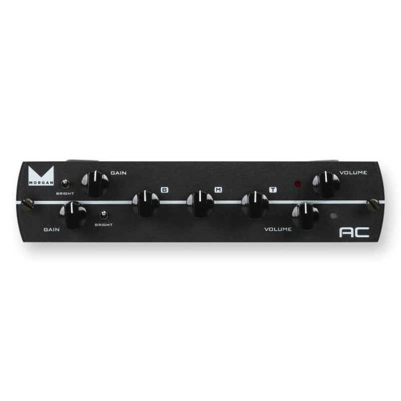 SYNERGY Morgan AC Preamp Module
