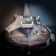 PRS S2 CUSTOM 24-08 (Faded Grey Blackburst) #S2071554