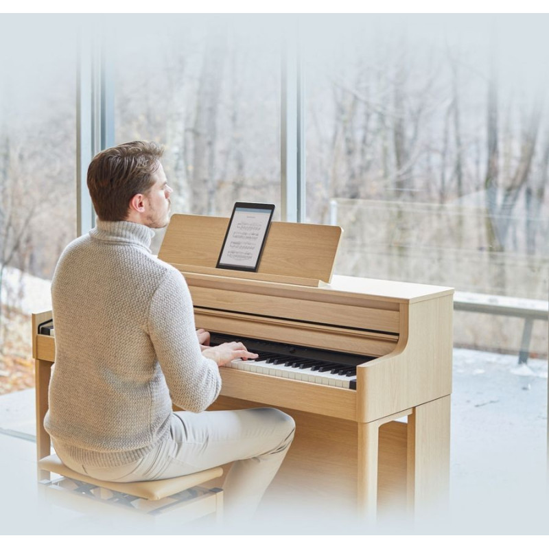 ROLAND HP702 Цифрове піаніно