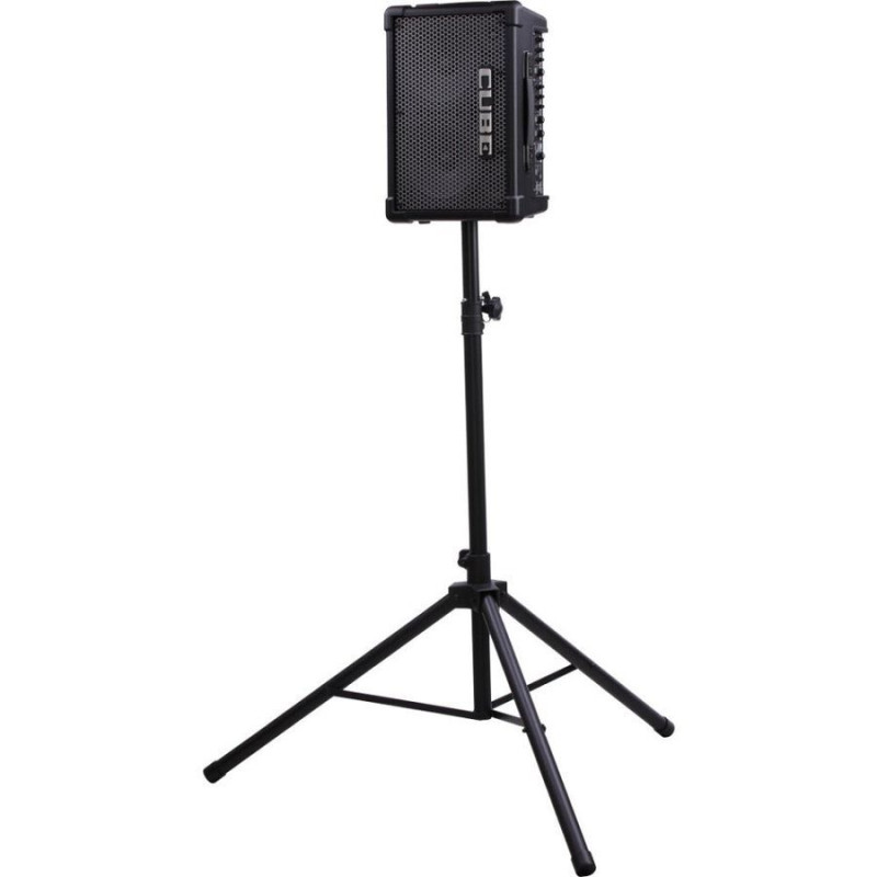 Roland CUBE Street EX Стерео-комбо підсилювач