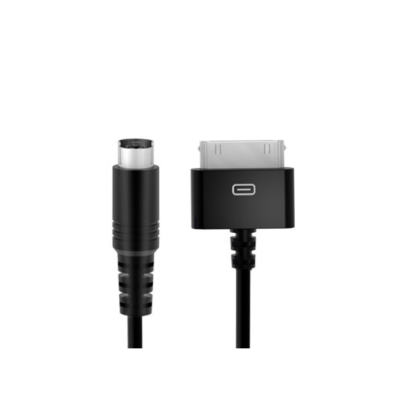 CABLE-30PIN-IN