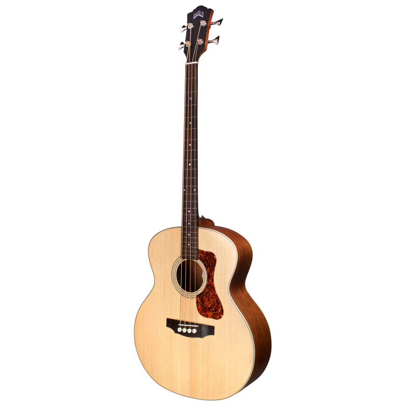 B-240E Fretless NAT