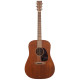 MARTIN 10D15M Акустическая гитара