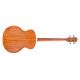 B-240E Fretless NAT