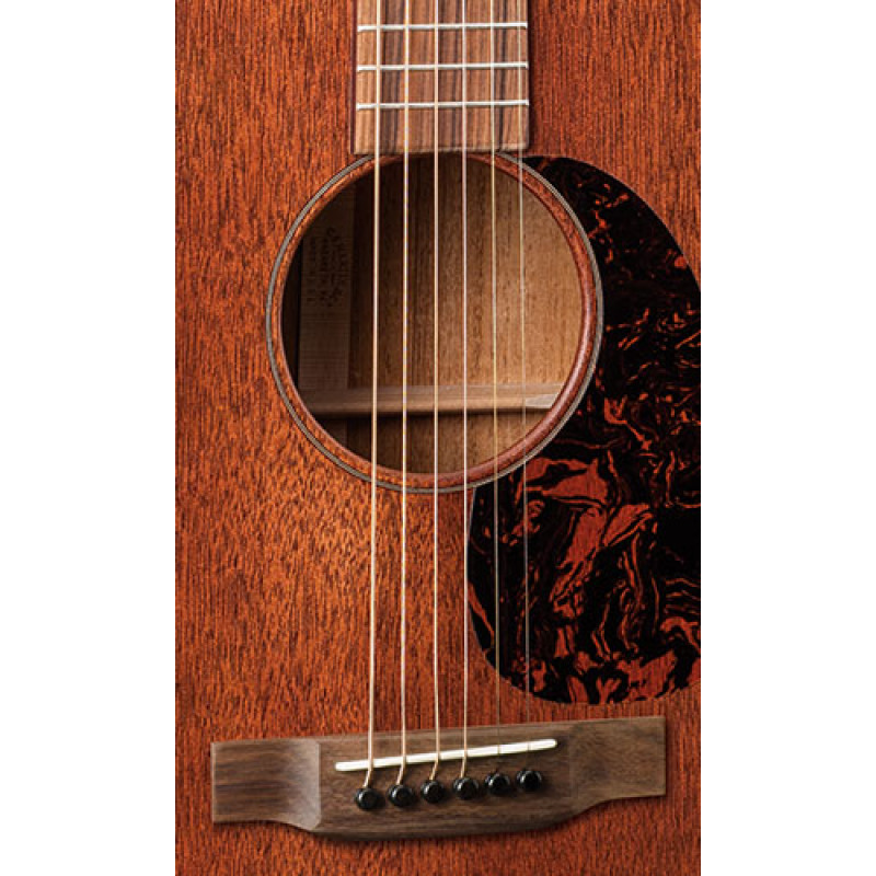 MARTIN 10D15M Акустическая гитара
