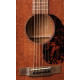 MARTIN 10D15M Акустическая гитара