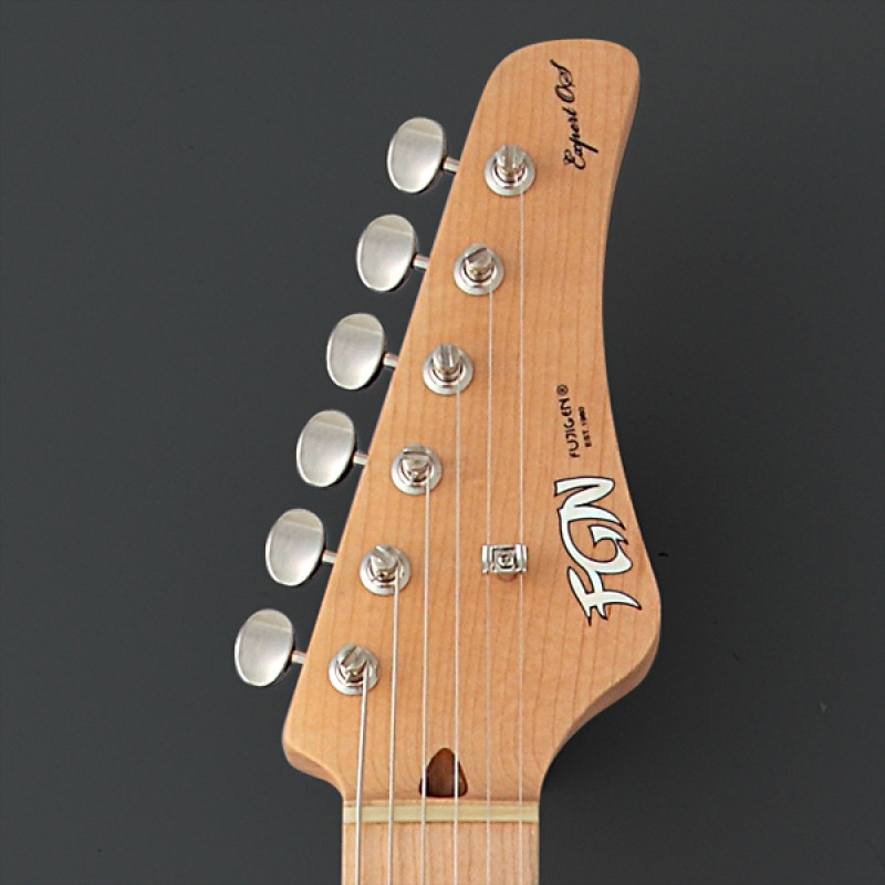 FUJIGEN EOS-ASH-M/2TS Электрогитара