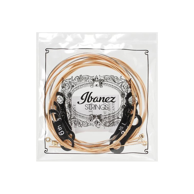 IBANEZ IACSP6C ACOUSTIC GUITAR STRING 12-53 COATED Струни для акустичних гітар