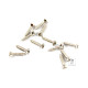 FENDER PICKGUARD/VINTAGE BRIDGE COVER SCREWS Гвинти кріплення