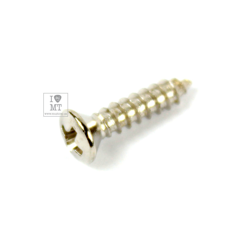 FENDER PICKGUARD/VINTAGE BRIDGE COVER SCREWS Гвинти кріплення