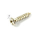 FENDER PICKGUARD/VINTAGE BRIDGE COVER SCREWS Гвинти кріплення
